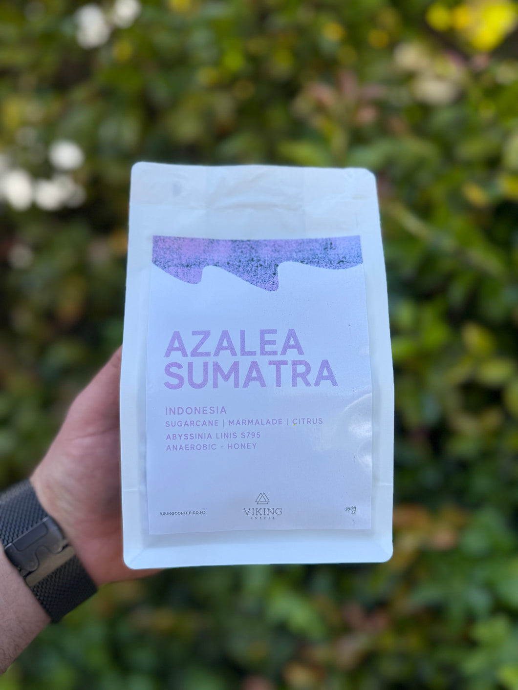 Azalea || Abyssinia || Honey